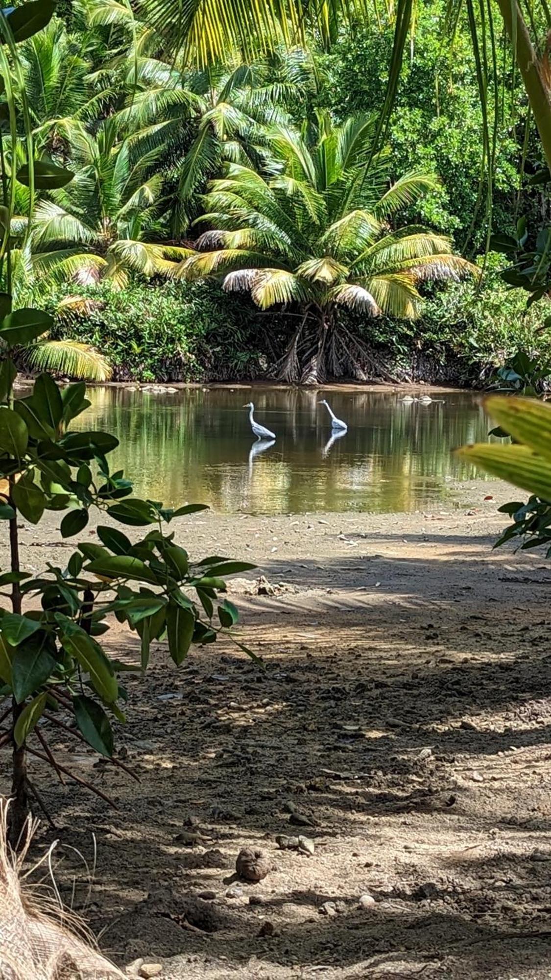 Vila La Belle Tortue La Passe Exteriér fotografie